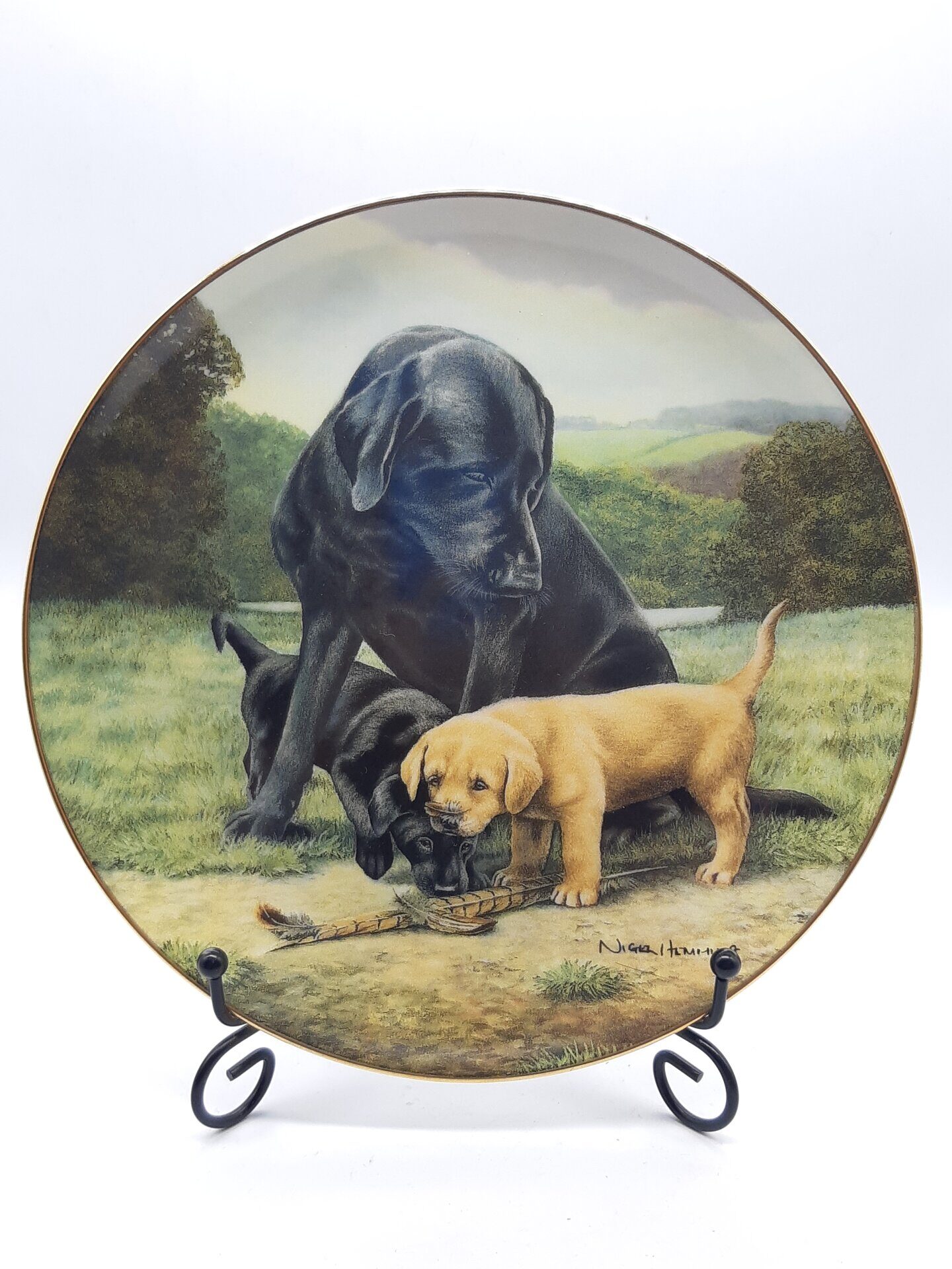 M820 Декоративная тарелка Spring Training, Винтаж, Royal Doulton